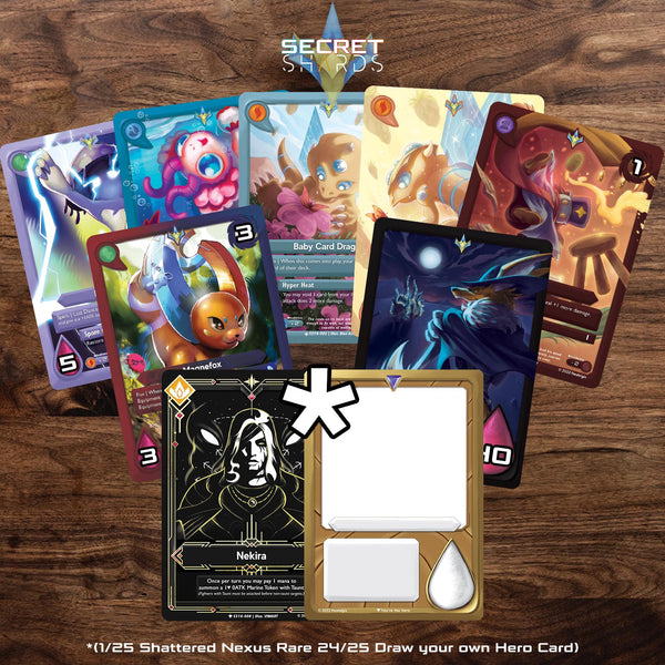 Secret Shards 14